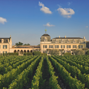 Pessac Leognan & Sauternes